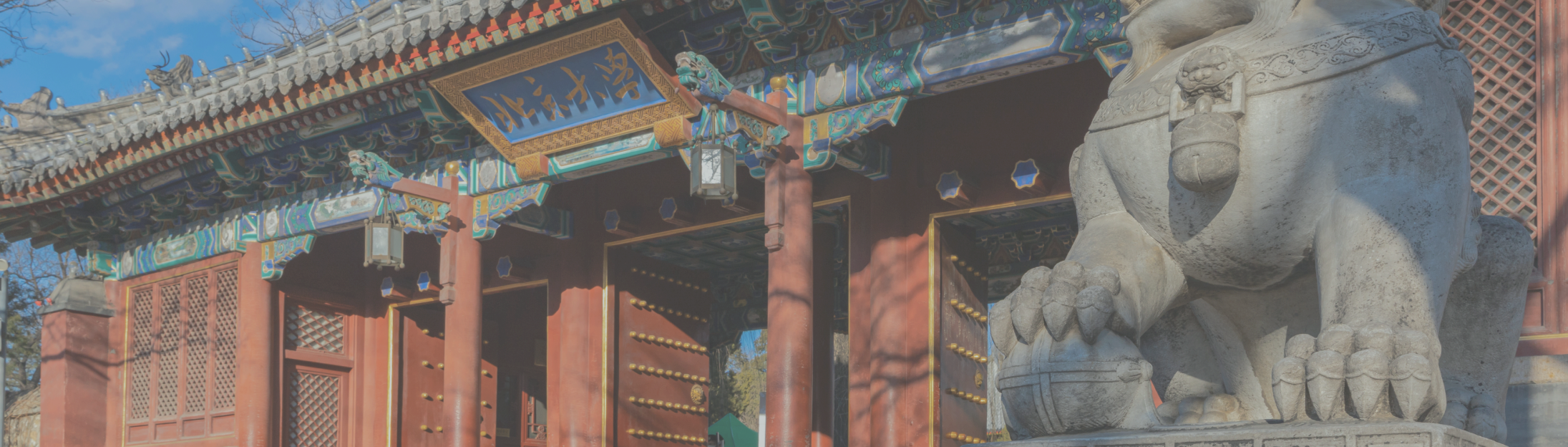 Dennis Liu professional background